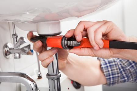 Under the Sink 